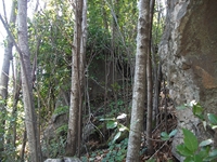 nte Cicirello-10042012 014